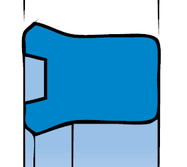 RSC