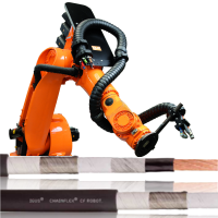 CF ROBOT